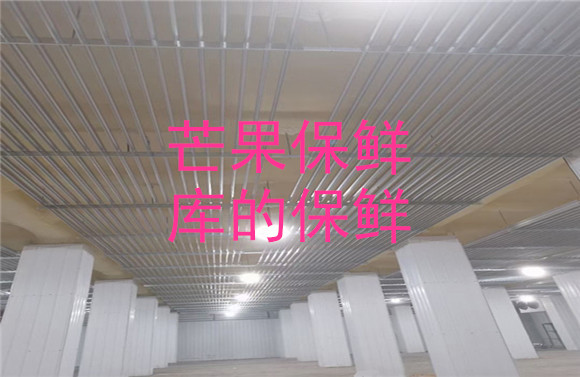 芒果保鮮庫(kù)的保鮮.jpg