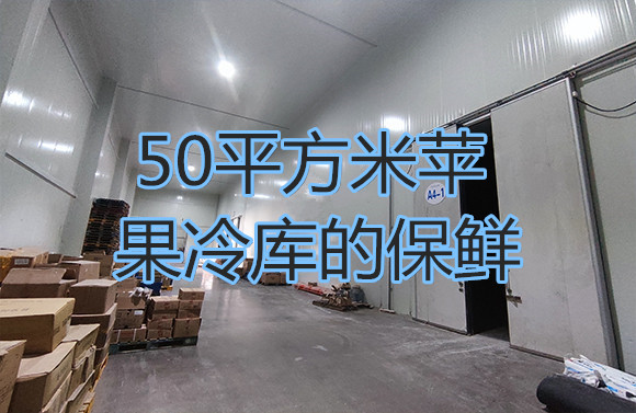 50平方米蘋果冷庫的保鮮.jpg