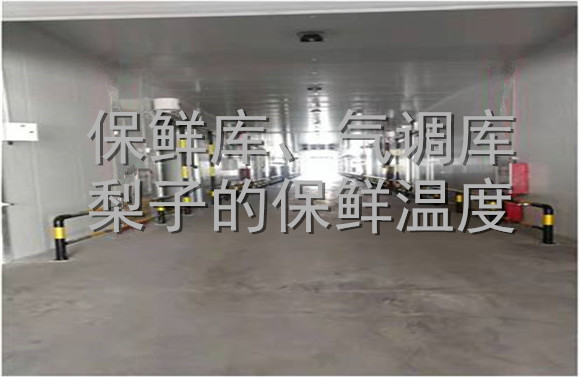 保鮮庫、氣調(diào)庫梨子的保鮮溫度.jpg