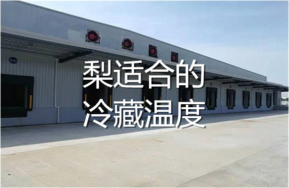 梨適合的冷藏溫度.jpg