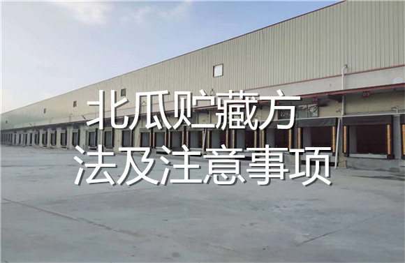 北瓜貯藏方法及注意事項(xiàng).jpg