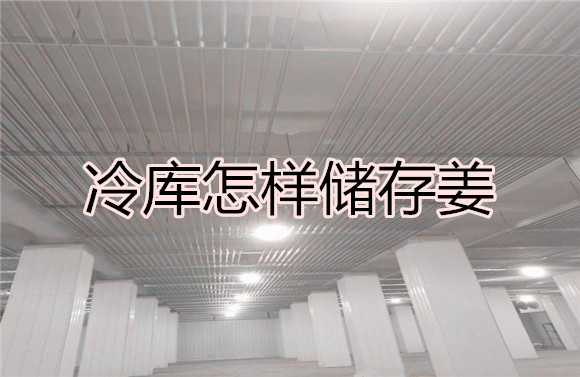 冷庫怎樣儲存姜.jpg