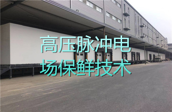 高壓脈沖電場(chǎng)保鮮技術(shù).jpg
