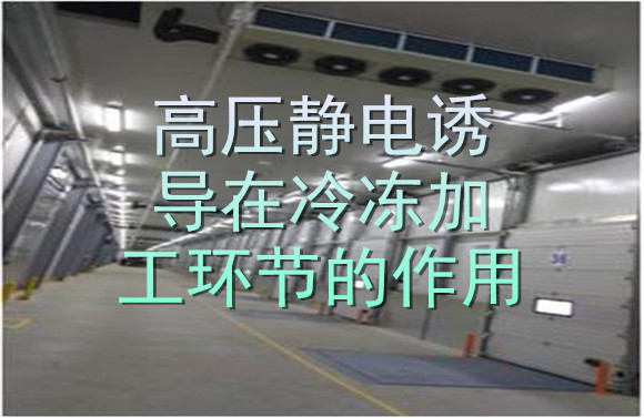 高壓靜電誘導在冷凍加工環(huán)節(jié)的作用.jpg