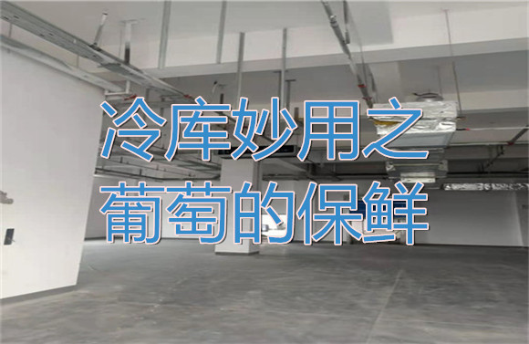 冷庫妙用之葡萄的保鮮.jpg