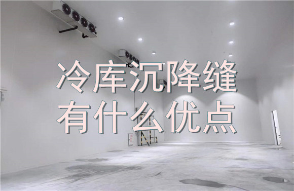 冷庫沉降縫有什么優(yōu)點(diǎn).jpg