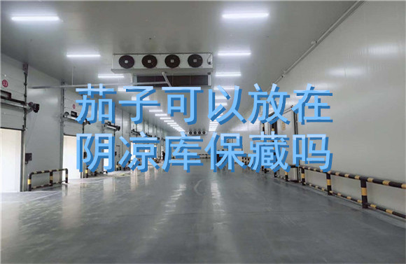 茄子可以放在陰涼庫保藏嗎.jpg