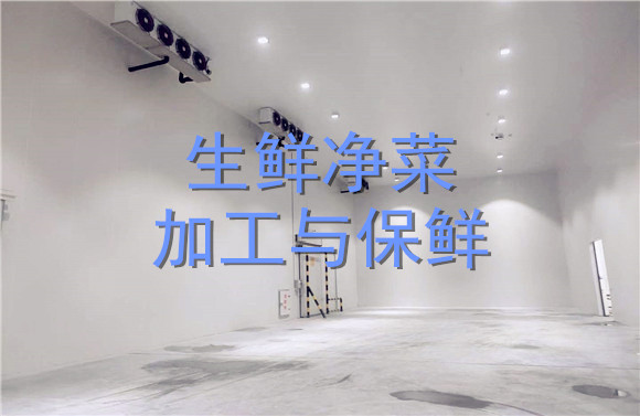 生鮮凈菜加工與保鮮.jpg