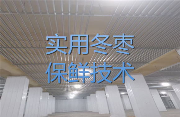 實(shí)用冬棗保鮮技術(shù).jpg