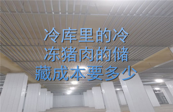 冷庫(kù)里的冷凍豬肉的儲(chǔ)藏成本要多少.jpg