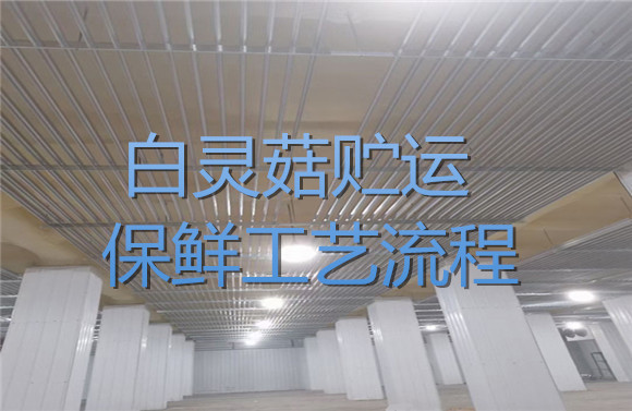 白靈菇貯運(yùn)保鮮工藝流程.jpg