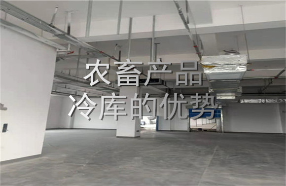 農(nóng)畜產(chǎn)品冷庫(kù)的優(yōu)勢(shì).jpg