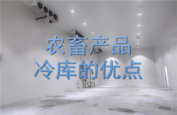 農(nóng)畜產(chǎn)品冷庫(kù)的優(yōu)點(diǎn).jpg
