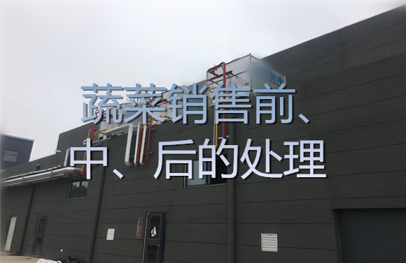 蔬菜銷售前、中、后的處理.jpg