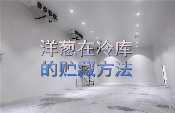 洋蔥在冷庫的貯藏方法.jpg