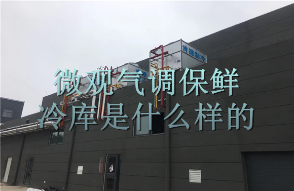 微觀氣調(diào)保鮮冷庫是什么樣的.jpg