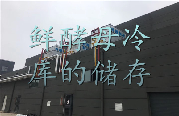 鮮酵母冷庫的儲存.jpg