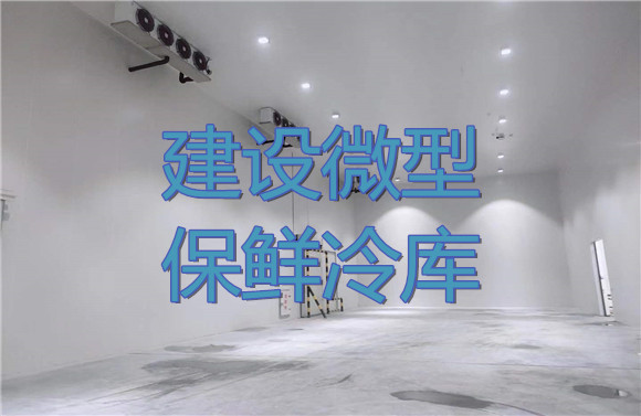 建設(shè)微型保鮮冷庫.jpg